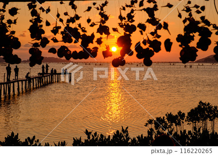 Sunset view 116220265