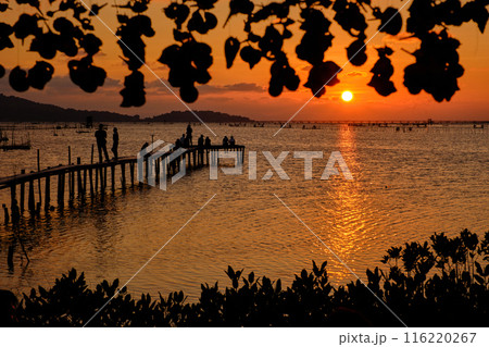 Sunset view Sunset view 116220267