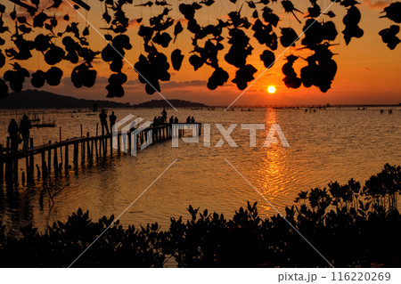 Sunset view Sunset view 116220269