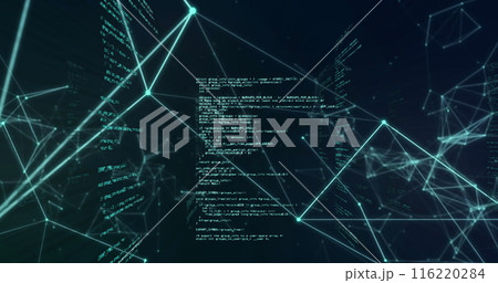Image of data processing and network of connections 116220284