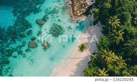 Tropical Beach with Clear Blue Water 116220293