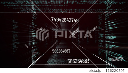Image of numbers, data processing and network of connections 116220295