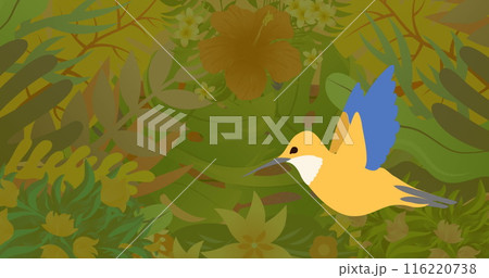 Image of colourful bird over plants 116220738