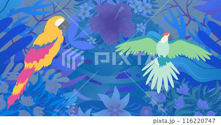 Image of colourful parrots over plants Image of colourful parrots over plants 116220747