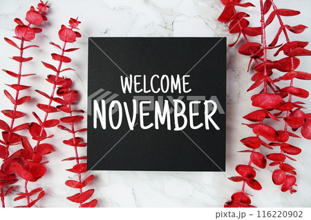 Welcome November text on paper card with red eucalyptus leaf decoration top view on marble background 116220902