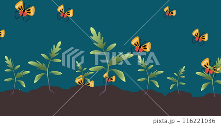 Image of butterflies and plants on green background 116221036