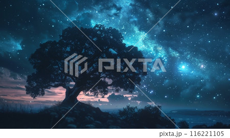 Lonely tree standing under milky way in a starry night 116221105