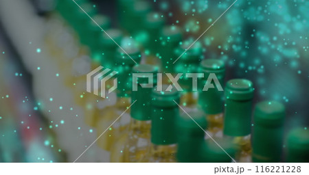 Image of lights over blurred wine bottles in shop 116221228