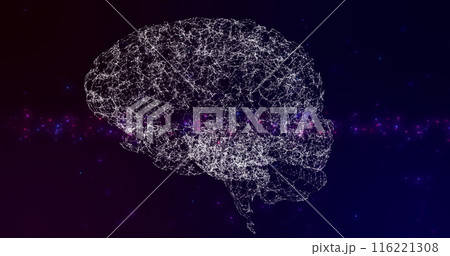 Human brain icon spinning against blue and pink spots of light on blue background Human brain icon spinning against blue and pink spots of light on blue background 116221308