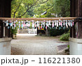 神社に飾られた風鈴 116221380