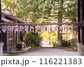 神社に飾られた風鈴 116221383