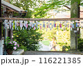 神社に飾られた風鈴 116221385