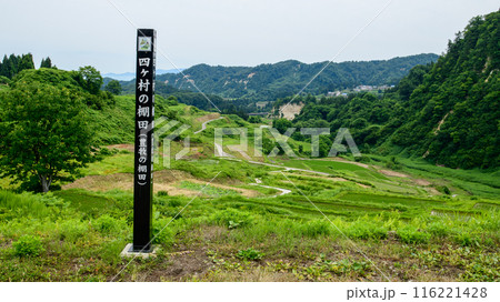 日本の棚田百選　四ヶ村の棚田　山形県 116221428