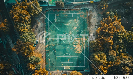 Drone point of view of a soccer field surrounded by trees 116221688