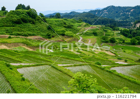 日本の棚田百選　四ヶ村の棚田　山形県 116221794