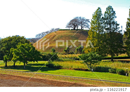 埼玉古墳群の丸墓山古墳【埼玉県行田市】 埼玉古墳群の丸墓山古墳【埼玉県行田市】 116221917