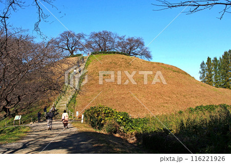 埼玉古墳群の丸墓山古墳【埼玉県行田市】 埼玉古墳群の丸墓山古墳【埼玉県行田市】 116221926