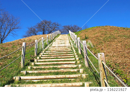 埼玉古墳群の丸墓山古墳【埼玉県行田市】 埼玉古墳群の丸墓山古墳【埼玉県行田市】 116221927