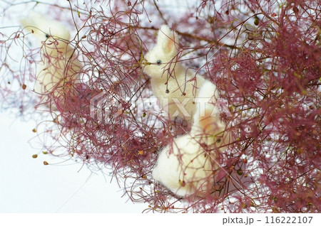 赤紫色のスモークツリーの花穂とフェルトのうさぎ 赤紫色のスモークツリーの花穂とフェルトのうさぎ 116222107