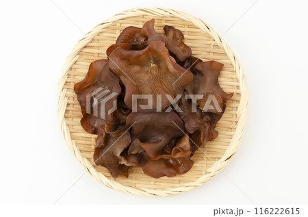 生きくらげ 生きくらげ 116222615