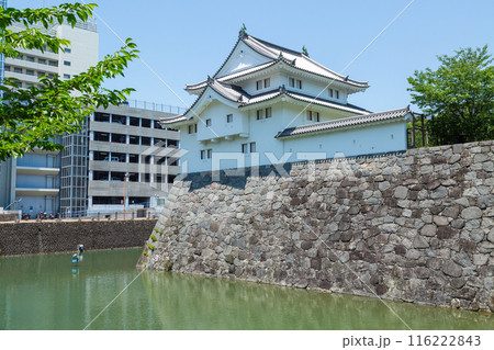 駿府城坤櫓（ひつじさるやぐら） 116222843