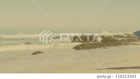 Image of light over african american couple walking with surfboards on beach Image of light over african american couple walking with surfboards on beach 116223301