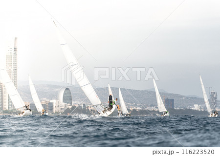 Sailing regatta with city skyline in background Sailing regatta with city skyline in background 116223520