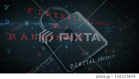A digital padlock surrounded by cybersecurity terms like firewall and malware 116223674