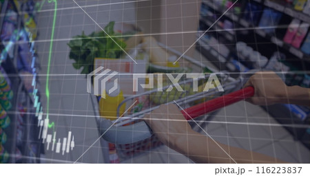 Person pushing shopping cart filled with groceries in a supermarket Person pushing shopping cart filled with groceries in a supermarket 116223837