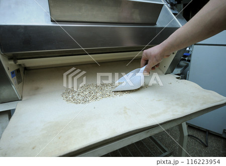 baker s hand taking some chopped nuts for powdering rolls using scoop, bakery baker s hand taking some chopped nuts for powdering rolls using scoop, bakery 116223954