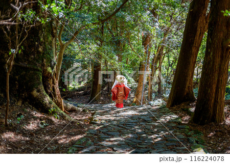 Japanese woman wearing traditional Heian Period costume at the Kumano Kodo Pilgrimage Route in Wakayama prefecture of Japan 116224078