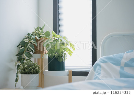 interior decoration in bedroom with monstera and tropical tree and put side of window interior decoration in bedroom with monstera and tropical tree and put side of window 116224333