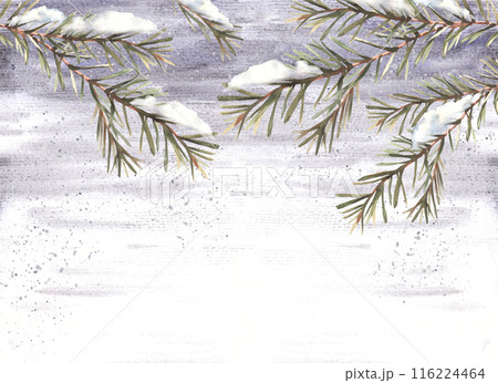 Snow on a fir tree branch with needles banner template. It is snowing in winter Christmas watercolor hand drawn illustration. For Xmas or New year greeting card template. Isolated on grey background. Snow on a fir tree branch with needles banner template. It is snowing in winter Christmas watercolor hand drawn illustration. For Xmas or New year greeting card template. Isolated on grey background. 116224464