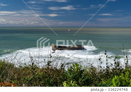 Biarritz Atlantic Ocean Coast, Plage Miramar 116224748
