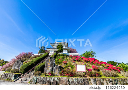 肥前犬山城のツツジ　【佐賀県杵島郡白石町】 116224980