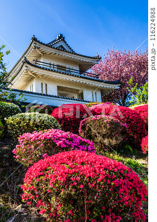肥前犬山城のツツジ 【佐賀県杵島郡白石町】 肥前犬山城のツツジ 【佐賀県杵島郡白石町】 116224988