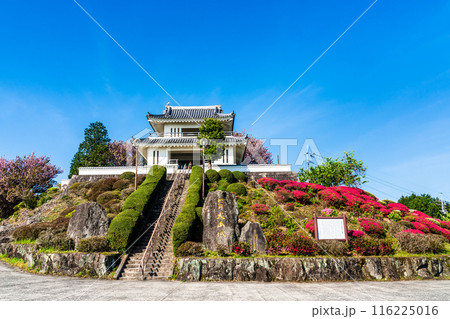 肥前犬山城のツツジ　【佐賀県杵島郡白石町】 116225016