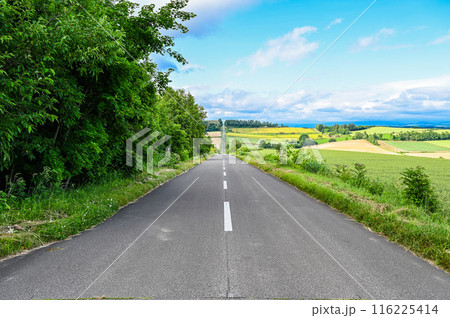 北海道上富良野のジェットコースターの路 116225414