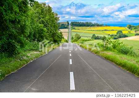 北海道上富良野のジェットコースターの路 北海道上富良野のジェットコースターの路 116225425