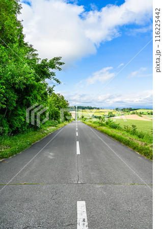 北海道上富良野のジェットコースターの路 北海道上富良野のジェットコースターの路 116225442