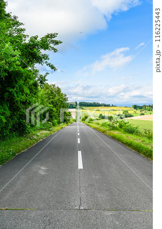北海道上富良野のジェットコースターの路 北海道上富良野のジェットコースターの路 116225443