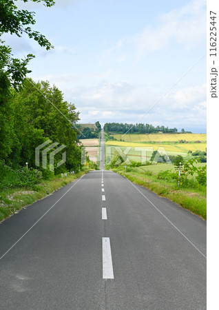 北海道上富良野のジェットコースターの路 北海道上富良野のジェットコースターの路 116225447
