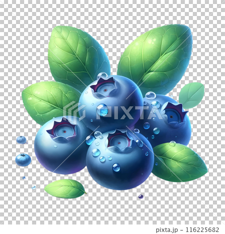 fresh blueberry with leaves 116225682
