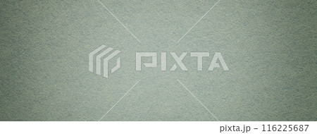 Texture of vintage green paper gradient background with dark vignette. Craft olive cardboard 116225687