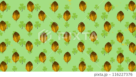 Image of autumn leaves and pattern on green background 116227376