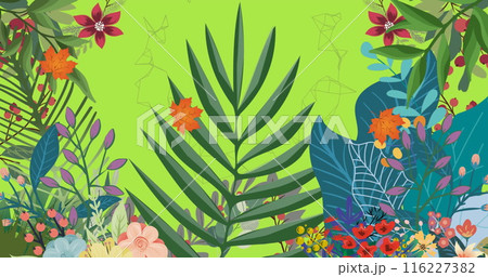 Image of colourful flowers and green foliage on grey background 116227382