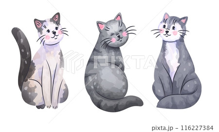 Cute cats. Gray fluffy pets. Watercolor drawing graphic. Domestic animals. Feline mammals breed. Color sketch print. Adorable happy kittens. Cartoon pussycats smiles. Kitty sitting poses vector set 116227384