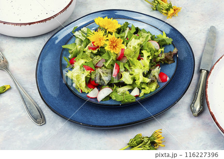 Fresh dandelion salad Fresh dandelion salad 116227396