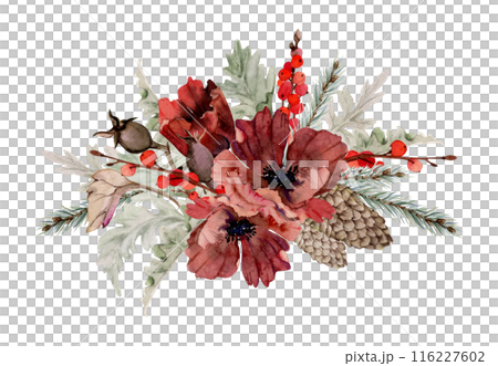Poppy anemone flower, spruce fir tree branches cones, berries. Watercolor hand drawn illustration, composition isolated on white. Xmas, happy new year festive, noel navidad holiday. For cards, gifts. Poppy anemone flower, spruce fir tree branches cones, berries. Watercolor hand drawn illustration, composition isolated on white. Xmas, happy new year festive, noel navidad holiday. For cards, gifts. 116227602