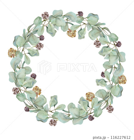 Eucalyptus laurel branches, leaves with cones. Watercolor hand drawn illustration, wreath chaplet crown frame isolated on white. Xmas cards, happy new year festive, noel navidad. Florist wedding gifts Eucalyptus laurel branches, leaves with cones. Watercolor hand drawn illustration, wreath chaplet crown frame isolated on white. Xmas cards, happy new year festive, noel navidad. Florist wedding gifts 116227612